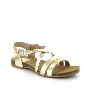 KICKERS ANATOMIUM<br>Or
