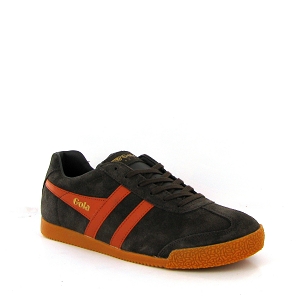 GOLA HARRIER<br>Marron