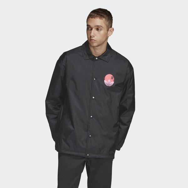 dv2039 adidas