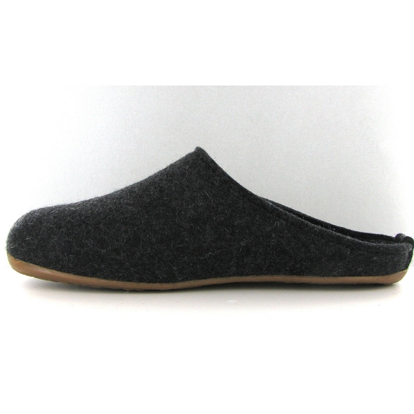 Haflinger mules everest fundus grisA211001_3
