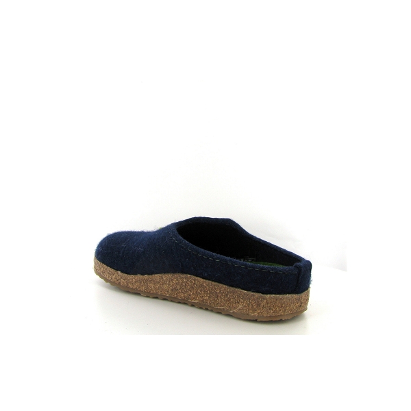 Haflinger mules grizzly kanon bleuA211202_3