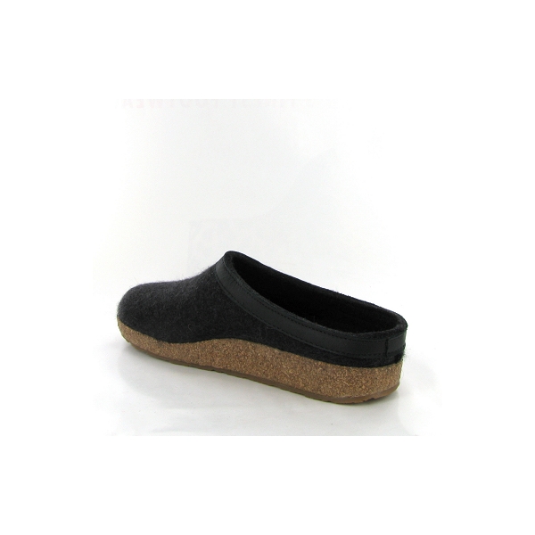 Haflinger mules grizzly torben grisC264601_3