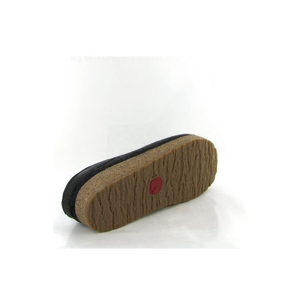 Haflinger mules grizzly torben grisC264601_4