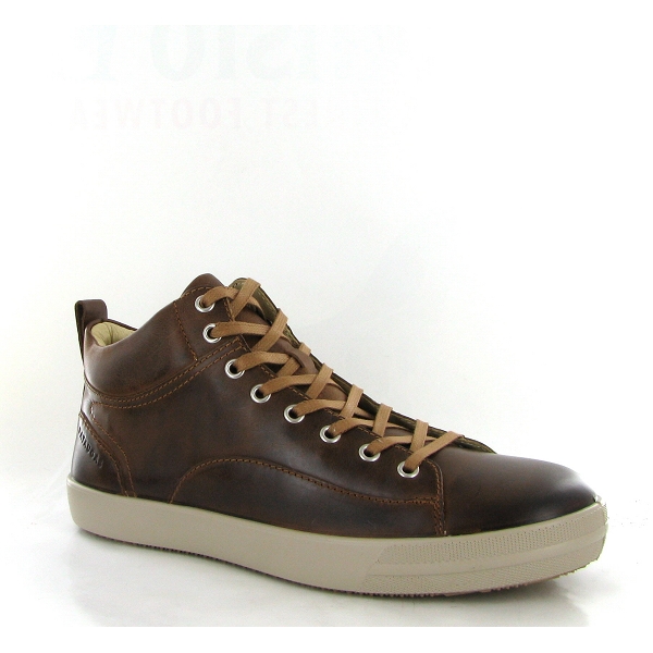 Pataugas sneakers new carlo marron